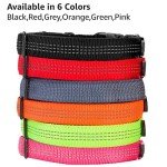 Adjustable Reflective Dog Collar for Small Dogs