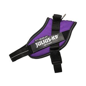 IDC Powerharness - Small Dark Purple Dog Harness