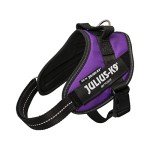 IDC Powerharness - Small Dark Purple Dog Harness
