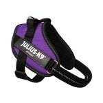 IDC Powerharness - Small Dark Purple Dog Harness