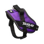 IDC Powerharness - Small Dark Purple Dog Harness