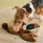 Interactive Squeaky Plush Pheasant Dog Toy