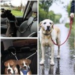 Adjustable Dog Car Seat Belt and Harness