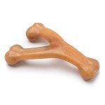 Benebone Indestructible Wishbone Chew Toy for Dogs