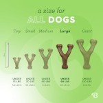 Benebone Indestructible Wishbone Chew Toy for Dogs