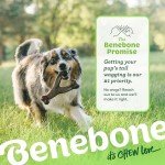 Benebone Indestructible Wishbone Chew Toy for Dogs