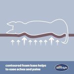 Orthopaedic Medium Pet Bed with Non-Slip Base