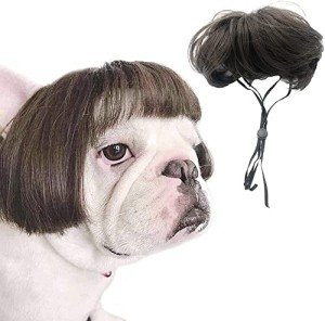Pet Cosplay Wig for Dogs and Cats