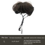 Pet Cosplay Wig for Dogs and Cats