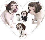 Pet Cosplay Wig for Dogs and Cats