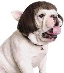 Pet Cosplay Wig for Dogs and Cats