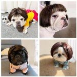 Pet Cosplay Wig for Dogs and Cats