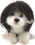 Pet Cosplay Wig for Dogs and Cats