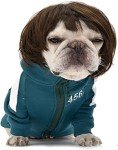 Pet Cosplay Wig for Dogs and Cats