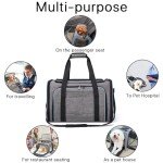 MIZAZBOX Expandable Airline-Approved Pet Carrier