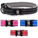 Elite Paws™ Premium Reflective Dog Collar 25-30cm