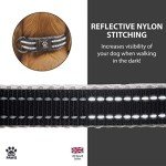 Elite Paws™ Premium Reflective Dog Collar 25-30cm