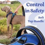 Rabbitgoo Adjustable No-Pull Dog Harness, Blue M