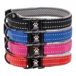 Elite Paws™ Premium Reflective Dog Collar 25-30cm