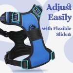 Rabbitgoo Adjustable No-Pull Dog Harness, Blue M