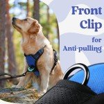 Rabbitgoo Adjustable No-Pull Dog Harness, Blue M