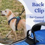 Rabbitgoo Adjustable No-Pull Dog Harness, Blue M