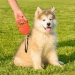 Ferplast Flippy Retractable Dog Leash - 4.5m