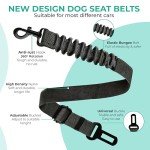 Adjustable Dog Seat Belt with Travel Bowl - 2 Pack