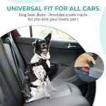 Adjustable Dog Seat Belt with Travel Bowl - 2 Pack