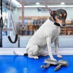 Dog Grooming Belly Straps & Loops - Color 2