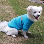 Cozy Medium Dog Fleece Hoodie in Blue
