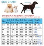 Cozy Medium Dog Fleece Hoodie in Blue