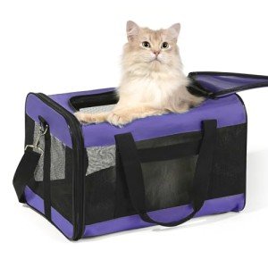 HITSLAM Soft-Sided Pet Carrier for Travel
