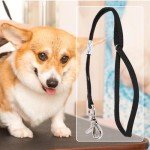 Adjustable Grooming Noose for Dogs and Cats