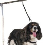 Adjustable Grooming Noose for Dogs and Cats