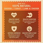 James Wellbeloved Senior Hypoallergenic Wet Dog Food