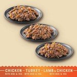 James Wellbeloved Senior Hypoallergenic Wet Dog Food