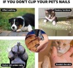 Dog Nail Clippers with Quick Safety Sensor