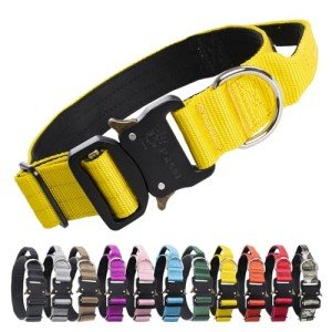 Heavy Duty Adjustable Dog Collar with Handle