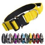 Heavy Duty Adjustable Dog Collar with Handle