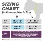 Heavy Duty Adjustable Dog Collar with Handle