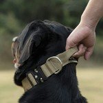 Heavy Duty Adjustable Dog Collar with Handle