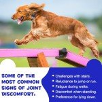 Duck Flavor Joint Support Tablets for Dogs - 180 Count