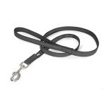 Color & Gray Super-Grip Dog Leash, 20mm x 1.2m