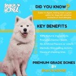 Premium Large Ham Bones for Dogs – 5 Pack