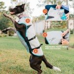 Cooling Vest for Dogs, Size L, Silver