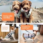 Cooling Vest for Dogs, Size L, Silver