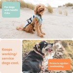 Cooling Vest for Dogs, Size L, Silver