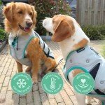 Cooling Vest for Dogs, Size L, Silver