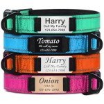 Personalised Reflective Dog Collar with Name Plate